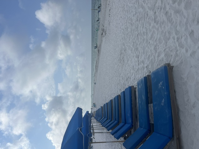 PamBeach1